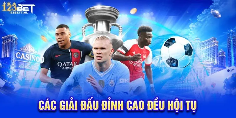 Các giải đấu đỉnh cao đều hội tụ